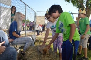 Children line up to pet a lionhead rabbit inside the petting zoo at Art in the Park in Doorknobs Park in Nederland on Saturday. Mary Meaux/The News