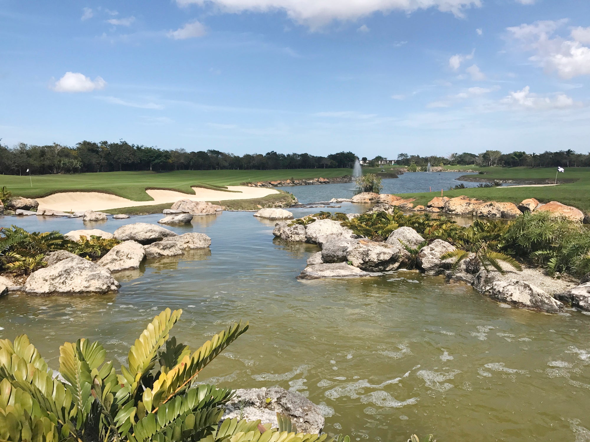 BRIAN JOHNSON ON OUTDOORS — Texas bass fishing is on fire, check out the  best spots - Port Arthur News