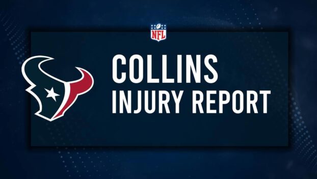 Will Nico Collins Play in Week 2? NFL Injury Status, News & Updates