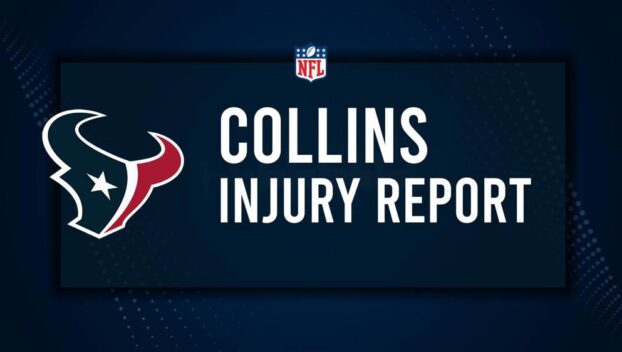 Will Nico Collins Play in Week 11? NFL Injury Status, News & Updates